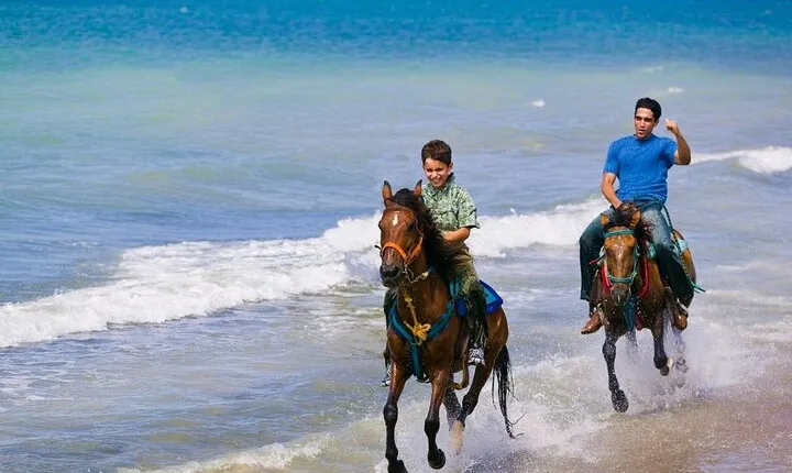  Beach & Desert Horse Ride, Swimming and Dinner - Hurghada