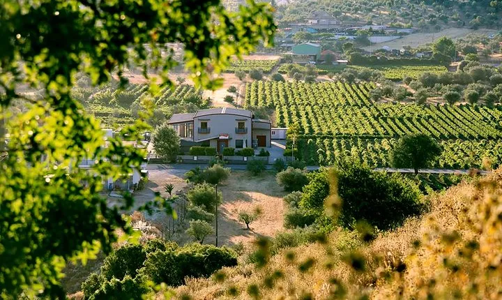 BEST Peloponnese Wine Roads Tour with Ancient Nemae