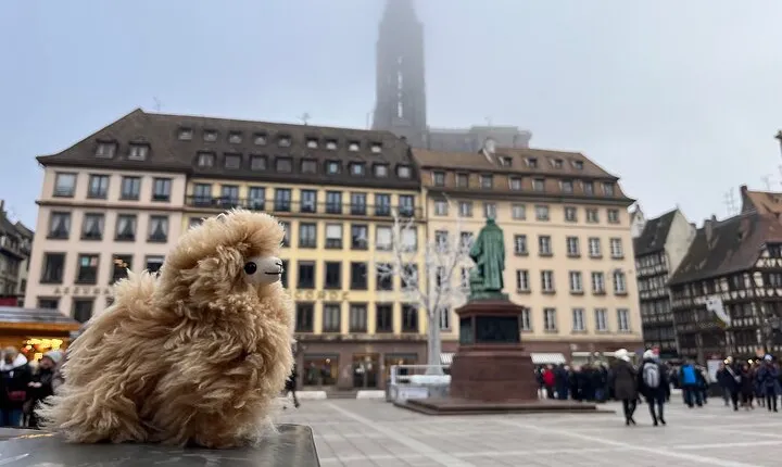 Strasbourg Private Walking Tour 