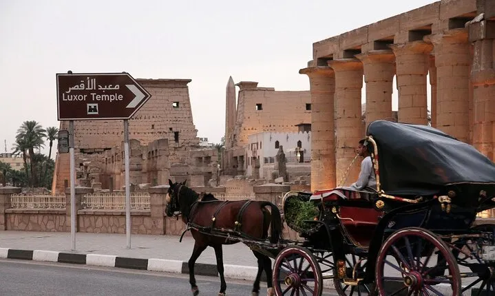 Luxor City Horse Carriage Tour: Dine and Discover
