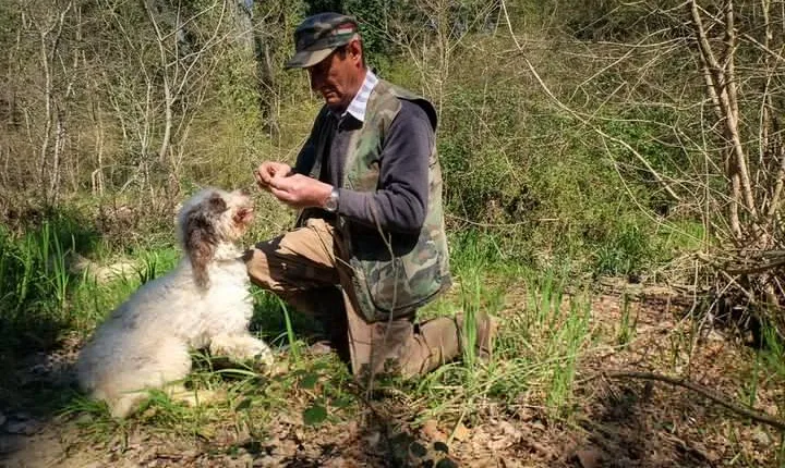 Private Truffle Hunting in Chianti