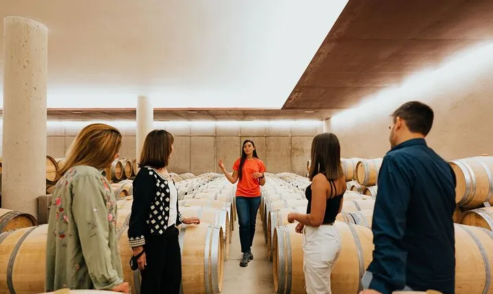 From Milan: Barolo Private Wine Tour with a Private Driver