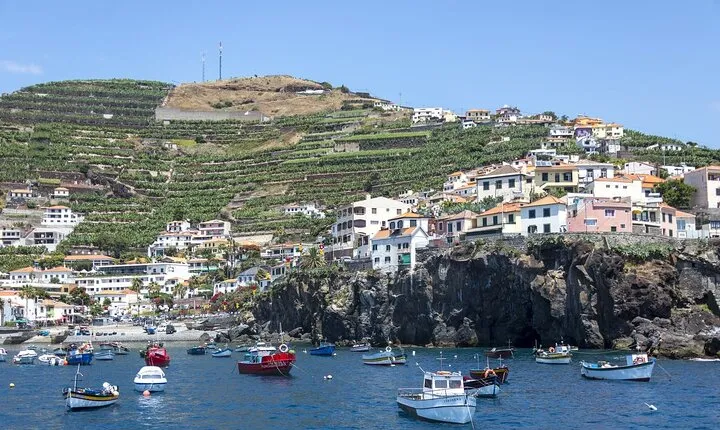 Living Sea Boat Trip in Madeira from Funchal