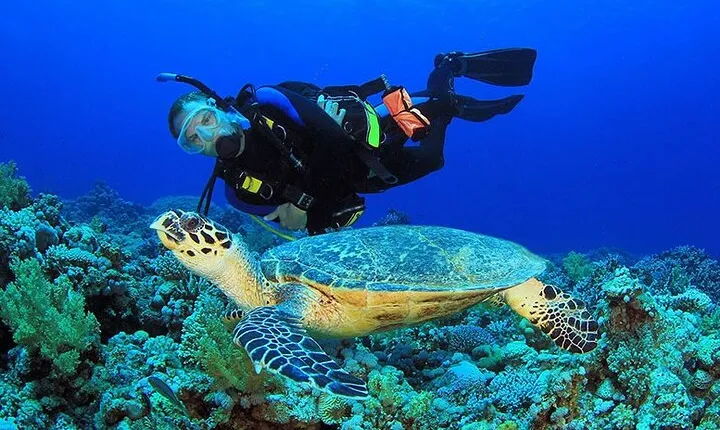 Intro Scuba Diving 2 Stops Trip with Transfers & Lunch - Hurghada
