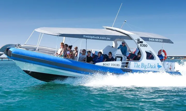 Seal Island Boat Tour from Victor Harbor
