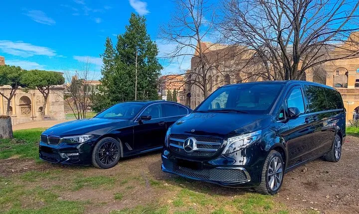 Piraeus Cruise Port to Athens - Round-Trip Private Transfer