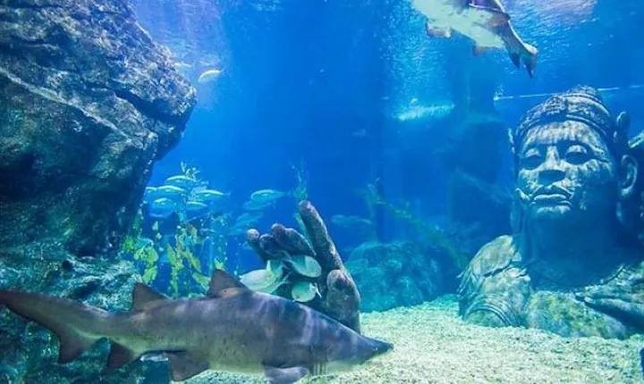 Sealife Bangkok + Madame Tussauds Bangkok