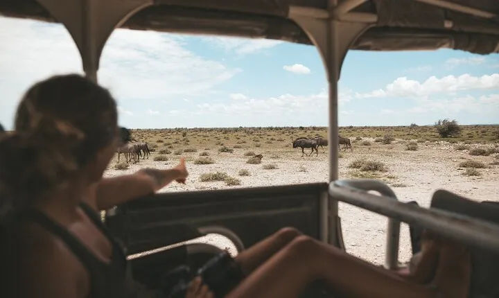 3-Day Safari Adventure Tour at Etosha National Park from Windhoek