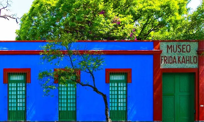 Admission Tickets to Anahuacalli Museum and Frida Kahlo