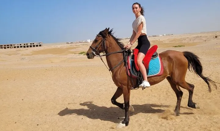 2-Hour Desert Horse Ride with Included Transfers –Sharm El Sheikh