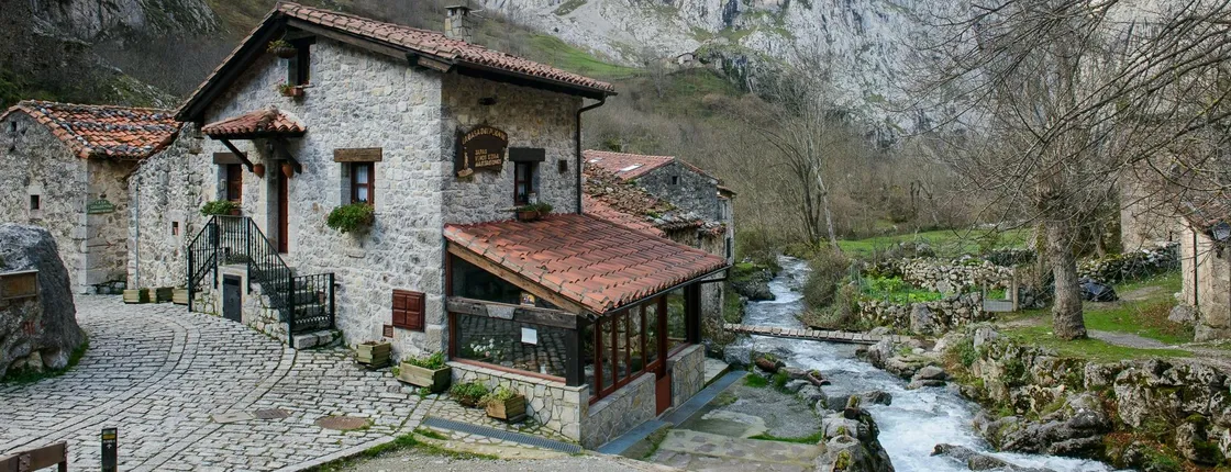 Picos de Europa tour, Bulnes and Cabrales cheese cave from Gijón