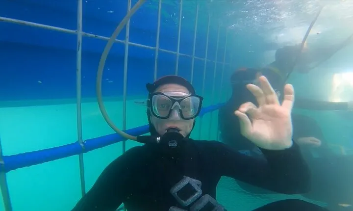 Guided Shark Cage Diving with Hookah Air Supply in Gansbaai