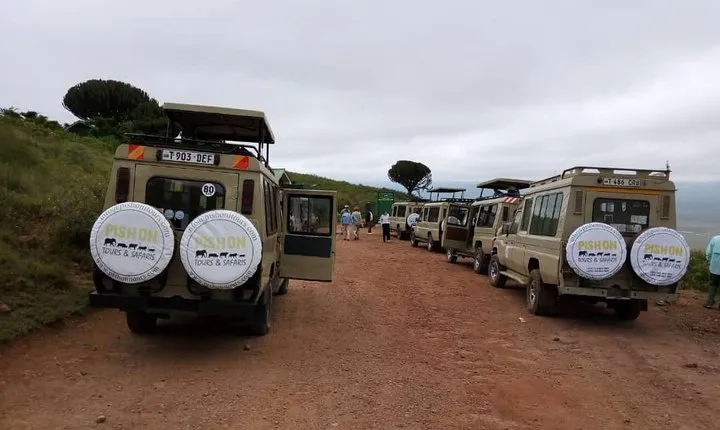 5 Days Wildebeest Migration Safari