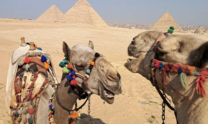 All inclusive Saqqara,Giza pyramids,lunch,fees,30 min camel ride