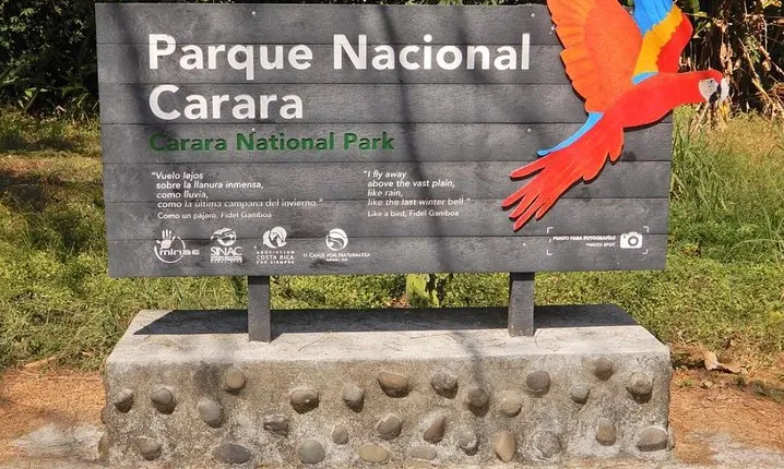 Carara National Park Birdwatching Private Guided Tour Experience.