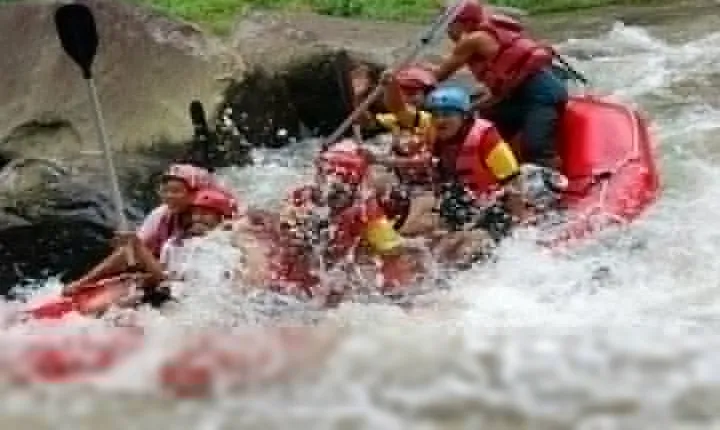 Bali Rafting and Ubud Tour