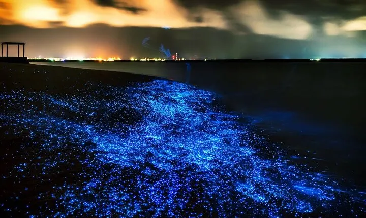Phuket: Phang Nga Bay Bioluminescent Plankton and Sea Canoes tour