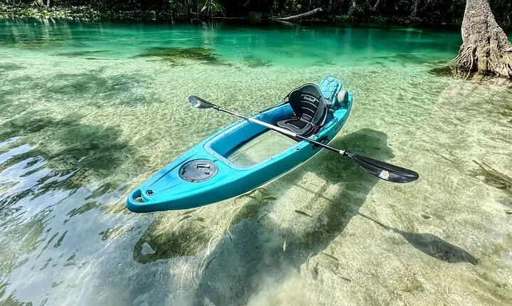 Silver Springs Wildlife Tour - Glass Bottom Kayaks