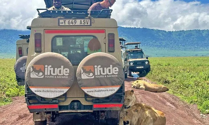 3 Days Serengeti and Ngorongoro Crater Safari