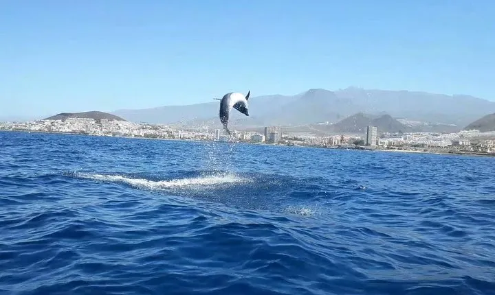 Tenerife by Kayak Adventure in small group