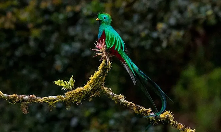 Birdwatching Tour: unlock the wonder, whether beginner or advanced