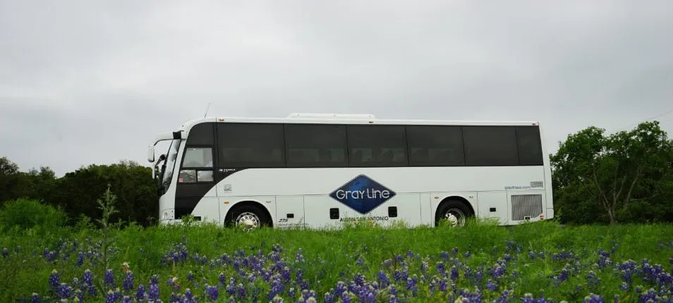 Texas Hill Country and LBJ Ranch sightseeing tour from San Antonio