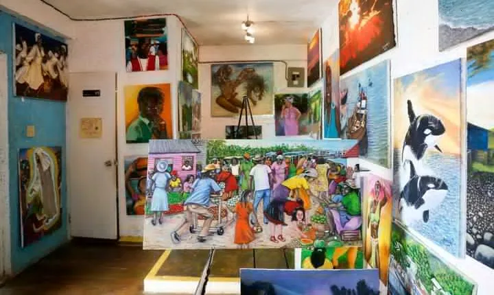 Ahhh Ras Natango Gallery and Garden Private Transfer 