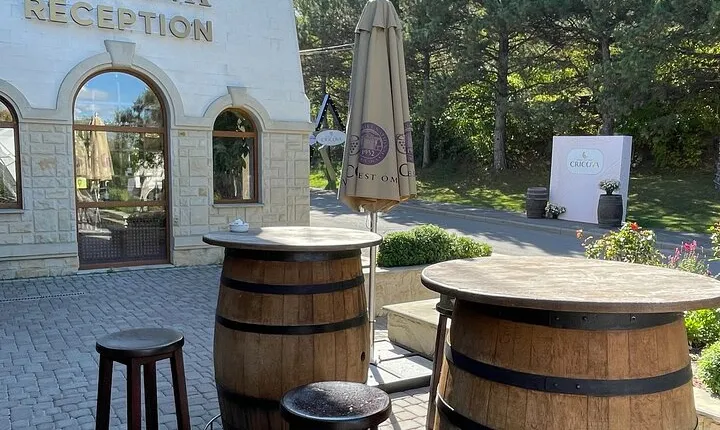 Cricova Cellars - Visit and tasting session