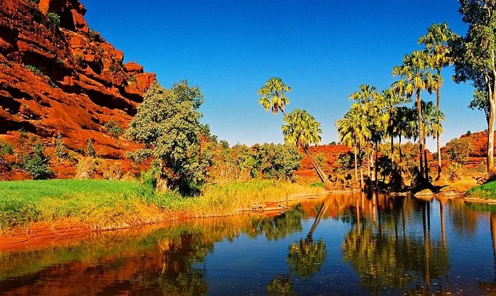 Palm Valley 4WD Day Tour