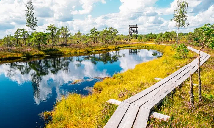 From Riga: Kemeri Bog Boardwalk and Jurmala Seaside