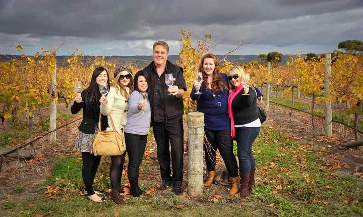 McLaren Vale Winery Small Group Tour with Wine Tasting and Lunch