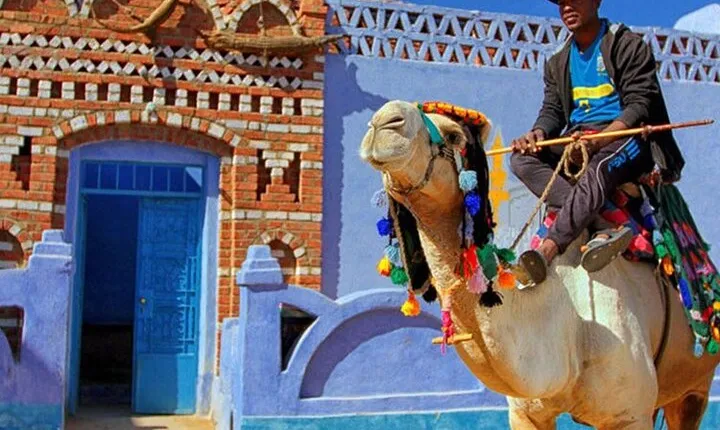 Private Day Tour to Philae Temple and Nubian Village