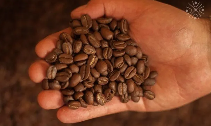 Coffee Paradise at El Paraiso - Experience from Bogota