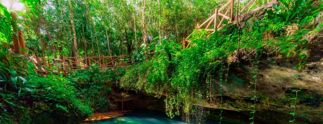 Small-Group 3 Cenotes Adventure and Tequila Tasting