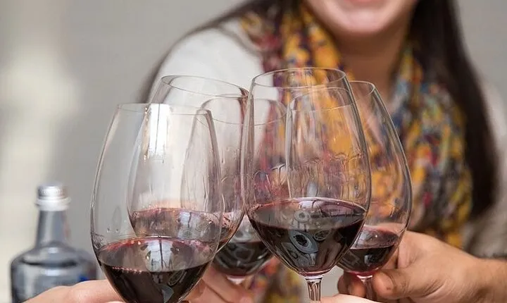 Valencia Wine Tasting and Tapas Experience