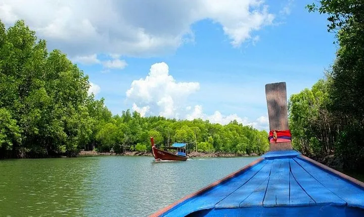 Lanta Mangroves Forest Tour with Thai Food Cooking with us