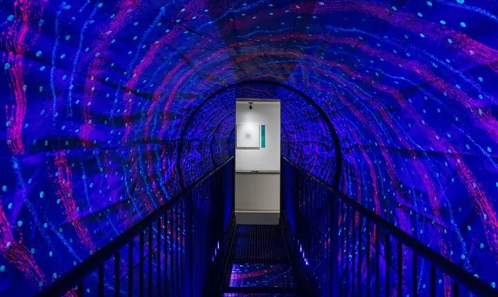 Dubai Museum of Illusions with Private Transfers