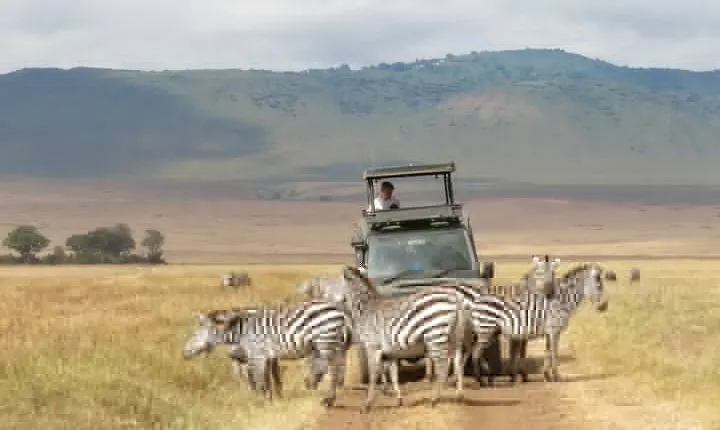 Private 5 Day Tanzania Safari Adventure Tour from Arusha