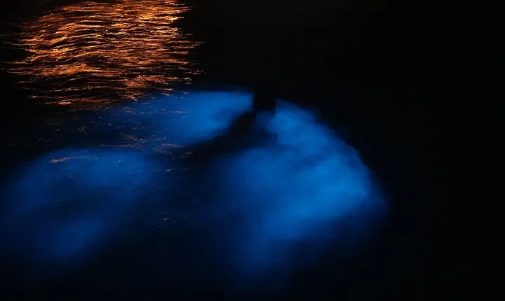 Private Boat Charter Experience in Bio Bay Cayman Island