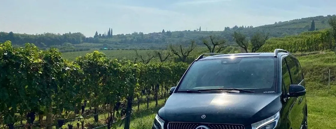 Valpolicella Wine tour with private transfer