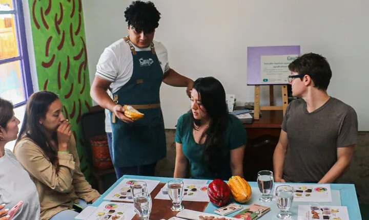 From Roaster to Cup - Bogota Coffee Experience