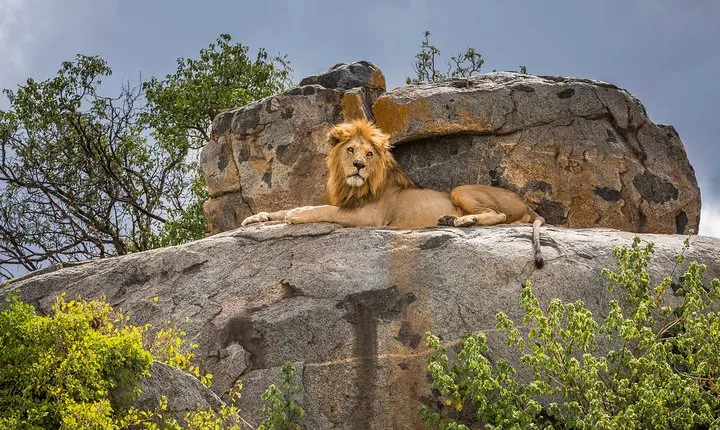 5 Days Budget Private Safari, Tanzania
