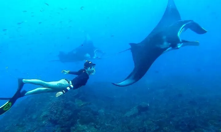 All-Inclusive Bali to Nusa Penida Tour and Manta Snorkeling