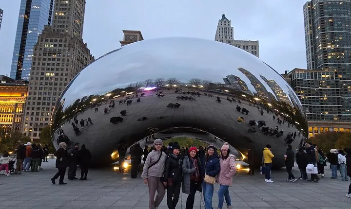 Chicago City's Iconic Sights and Suburb Gems Tour