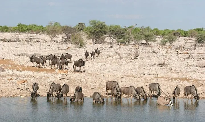 3 Days Etosha National Park Camping