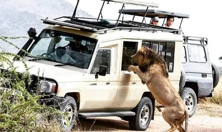 4 Days Serengeti Splendor Adventure