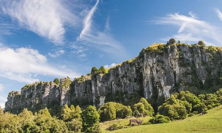 12-Hour LOTR Trollshaws & Waitomo Glowworm Tour