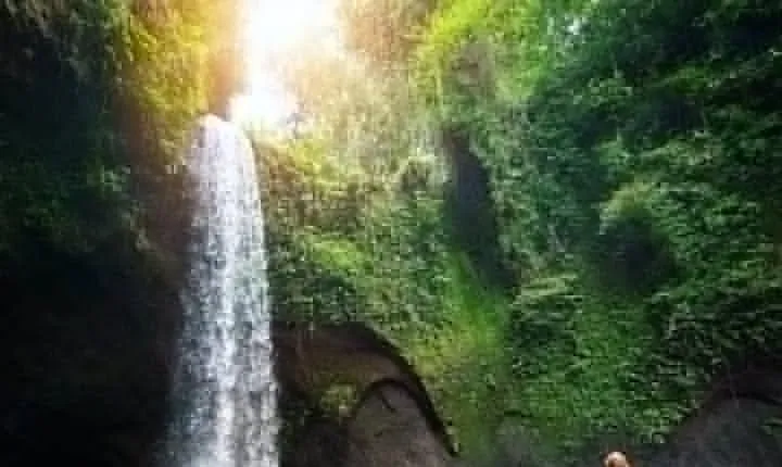 Bali : Best Private Day Tour with Private Driver