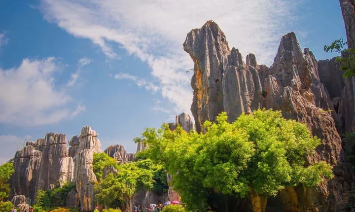 Private Full-Day Tour from Kunming: Stone Forest and Golden Temple