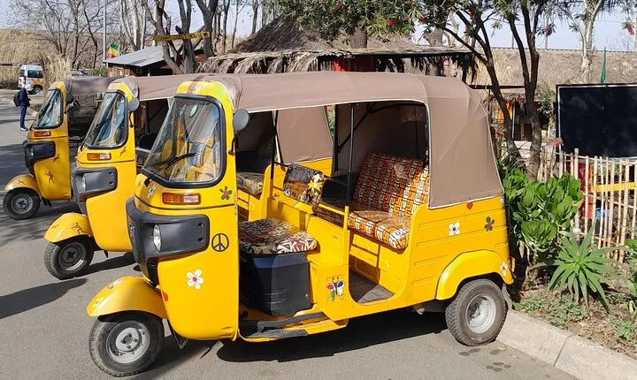 Bicycle or Tuk Tuk Soweto Guided Experience